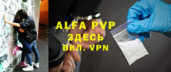 молекула духа Гвардейск