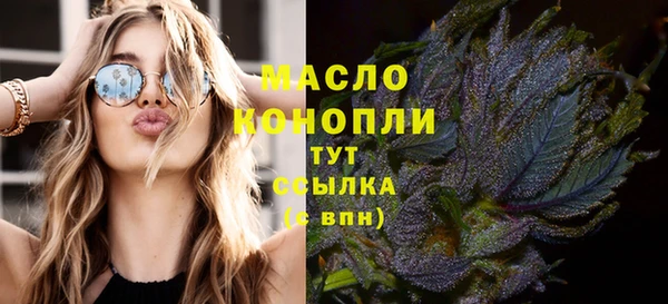 молекула духа Гвардейск