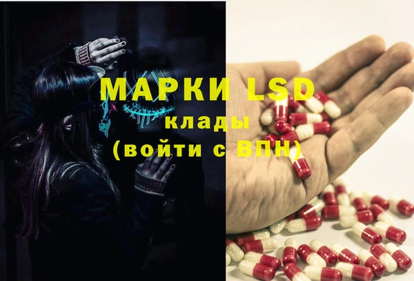мяу мяу мука Видное