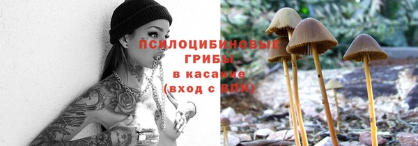 прущая мука Весьегонск