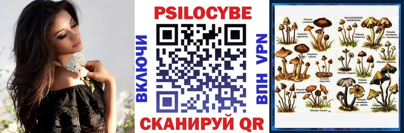 Псилоцибиновые грибы мухоморы  Истра 