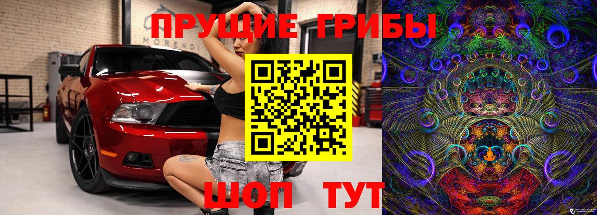Галлюциногенные грибы мухоморы  что такое наркотик  Галлюциногенные грибы Psilocybe  Истра  Вход с VPN 