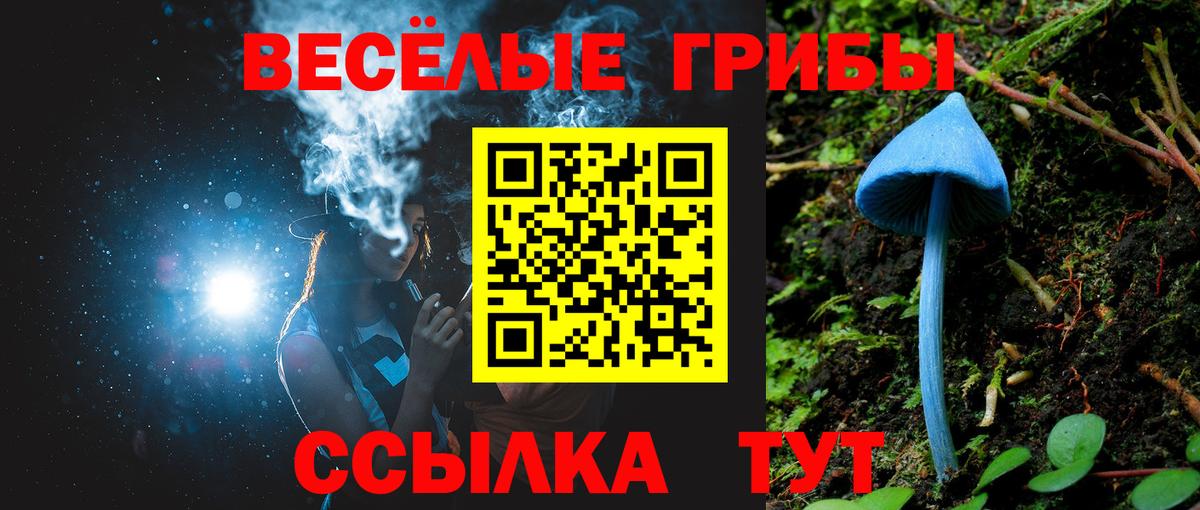 Псилоцибиновые грибы Psilocybine cubensis Истра